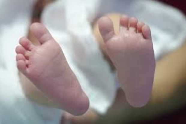 “Тіло лежало в рваному пакеті”: На Чернігівщині в лісі знайшли мертве немовля