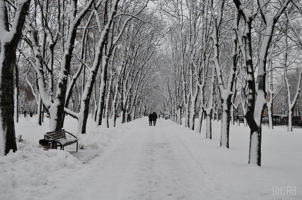 Морози до -30? Яку погоду прогнозують синоптики  для України на лютий