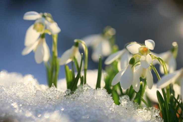 А за вікном майже весна: яку погоду на найближчі дні обіцяють синоптики в Україні