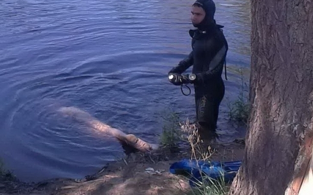 Страшна знахідка: У Києві рятувальники витягли з річки труп чоловіка