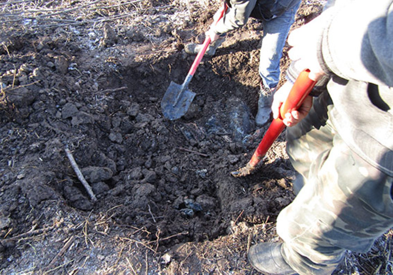 Тіло вивіз і закопав у полі: На Львівщині чоловік жорстоко вбив родича