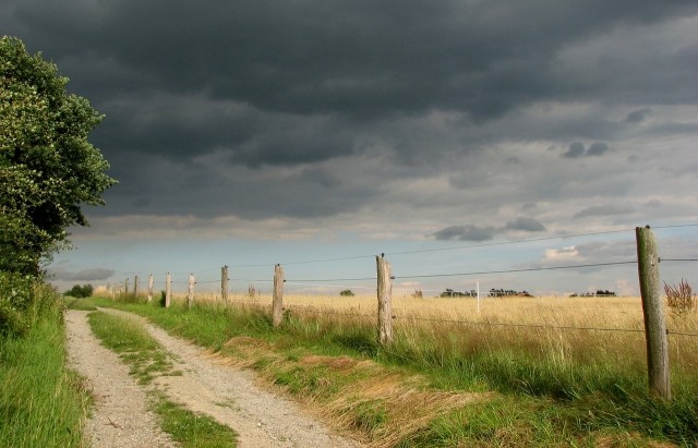 “Аномальні опади, грози і шквальний вітер”: В Україні оголосили штормове попередження
