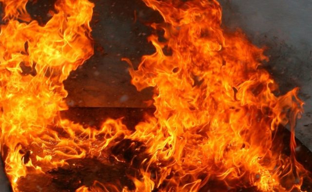 Горить досі, гасити ніхто не буде! На Луганщині сталася масштабна пожежа на замінованій території: є постраждалі