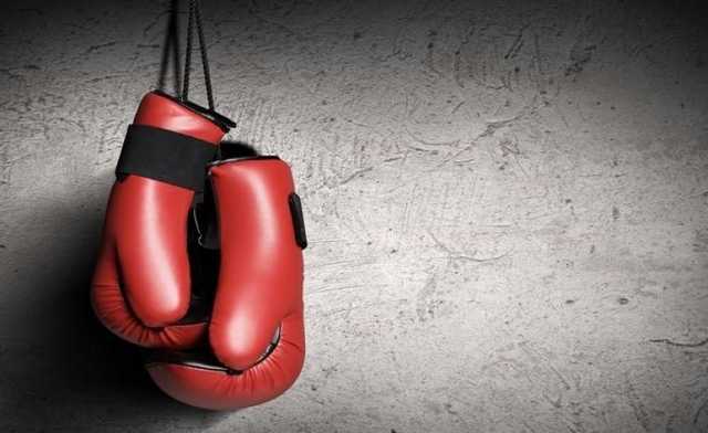 “Схопив за руку і вдарив головою в обличчя”:Відомий боксер жорстоко побив свою дружину