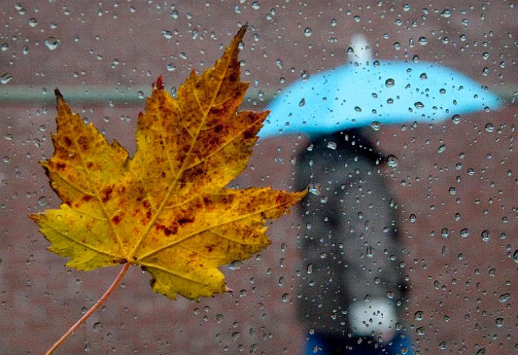 Готуйте парасольки : прогноз погоди в Україні на 29 листопада