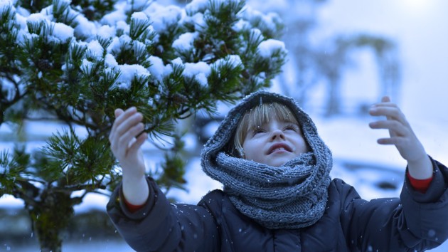 Ніякого снігу – не буде! Українці не дочекаються зими на початку грудня. Що буде з погодою?