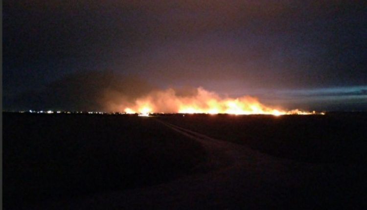 “Небо у вогні.” Під Одесою сталася масштабна пожежа: дим видно за кілометри