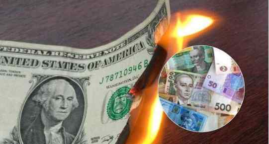 Долар стрімко падає! Курс валют на 29 лютого 2020 року
