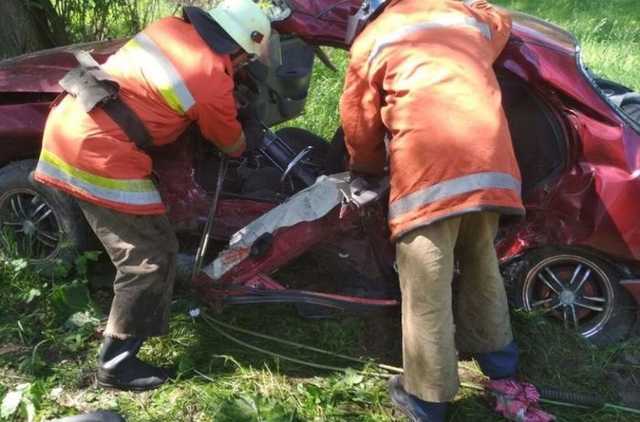 “Троє дорослих і немовля загинули”: Моторошна аварія сколихнула Житомирщину. Зелені свята закінчилися трагічно