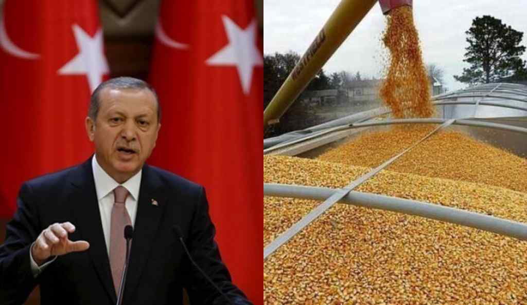 «Коридор» для зерна! Планують переконати Росію – Туреччина налаштована рішуче. Що відомо?