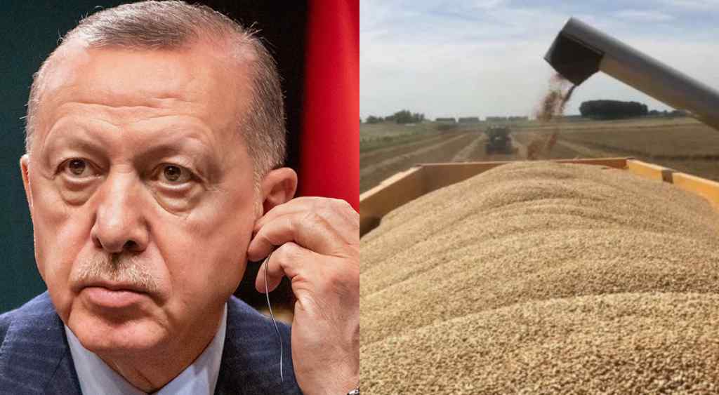 У це неможливо повірити! Туреччина купує вкрадене росією українське зерно: жалюгідна зрада! Перші деталі