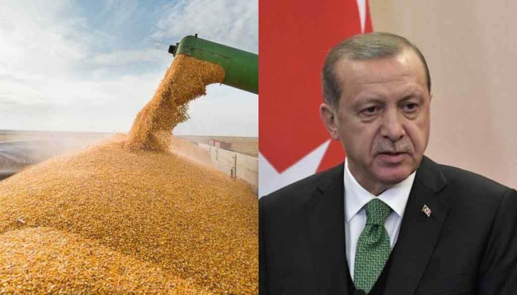 Українське зерно — задешево! Туреччина планує купити його з величезною знижкою. Такого не очікував ніхто!