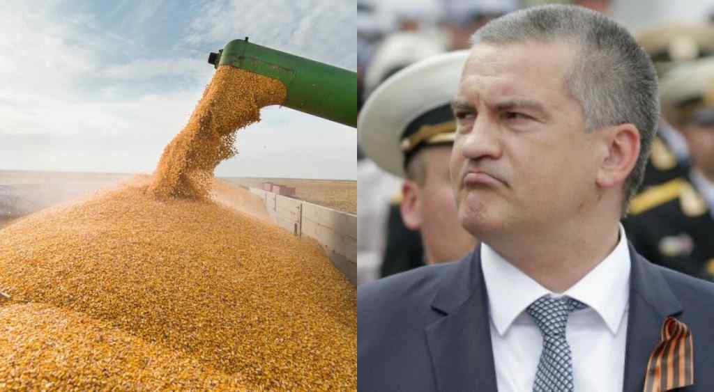 Навіть не приховують! У рф зізналися, що продають крадене українське зерно: на весь світ. Безмежний цинізм – дограються!