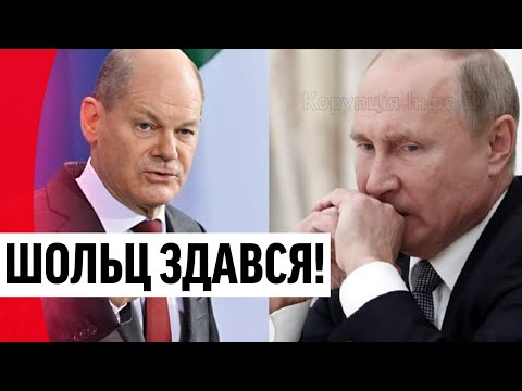 Переговори з Путіним! В перші дні війни – Шольц шокував: злив диктатора. Дізнались вперше!