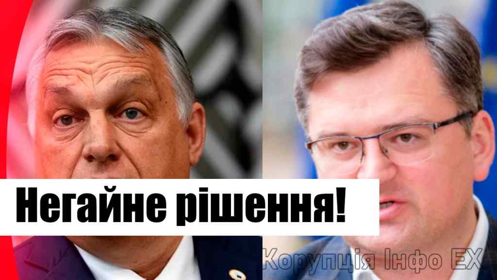 Орбана на коліна! На килим зрадників: вже викликали, негайне рішення-українці в люті. Новий скандал!