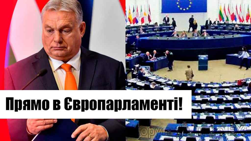 Щойно! Гучний скандал: прямо в Європарламенті – мати у мікрофон! Угорщина попала, ВІДСТАВКА!