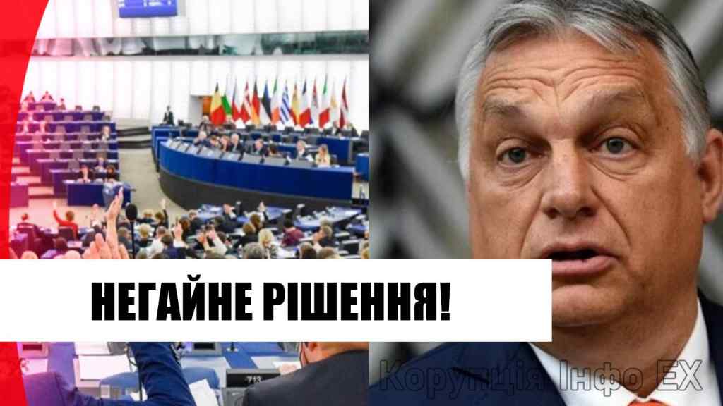 На ранок! Європарламент не витримав – НЕГАЙНЕ рішення: покарати Угорщину! Страшний скандал!