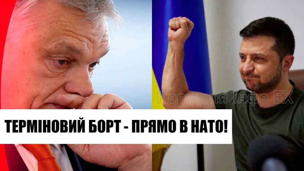 Орбана послали! Історичне рішення – терміновий борт: Україна в НАТО? У Зеленського шокували. Перші деталі!