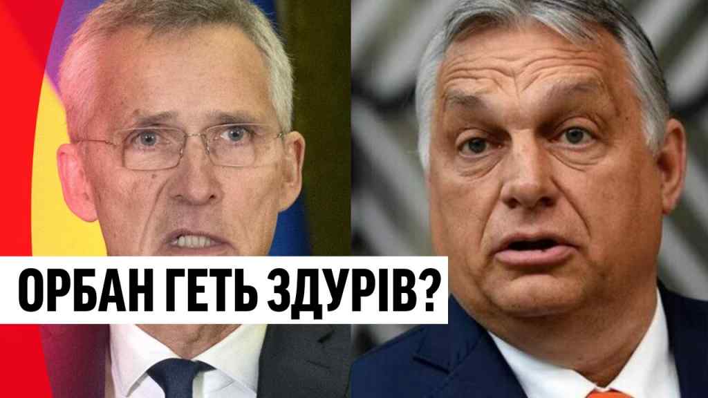 Він геть здурів? Орбан здичавів – заява НАТО: вступ України в Альянс! Удар з Угорщини, не пробачимо!