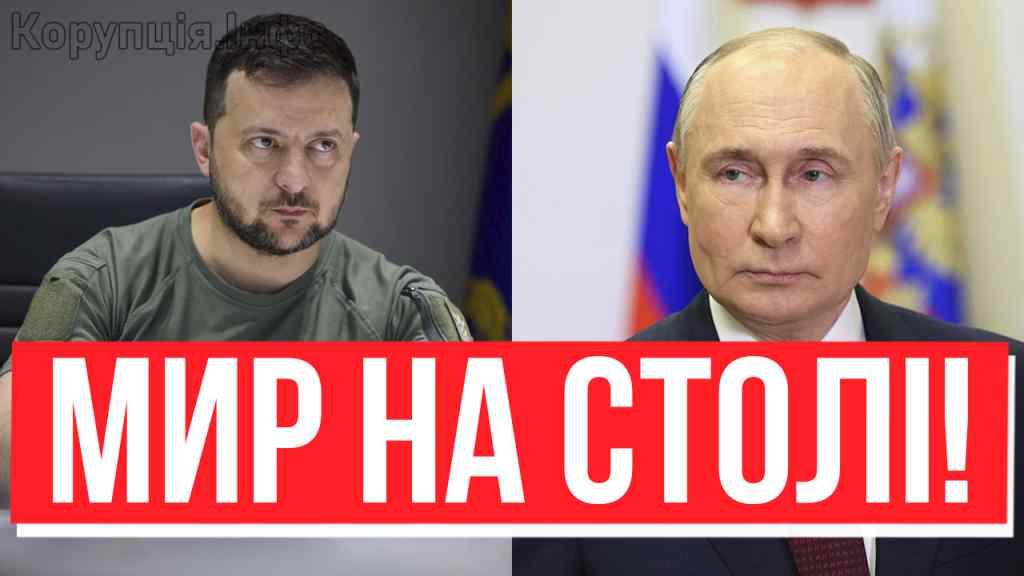 Ердоган, я лечу! ОЧІ В ОЧІ З ЗЕЛЕНСЬКИМ: Путін на борту – КІНЕЦЬ ВІЙНИ?! Екстрено зі Стамбулу – вперше після Мінська!