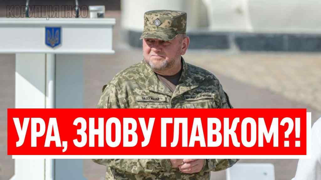 Посол?! Я УКРАЇНУ ВРЯТУЮ: Залужний рве агреман – ЗСУ, Я ПОВЕРТАЮСЬ! Зеленський в шоці,проти наказу?!