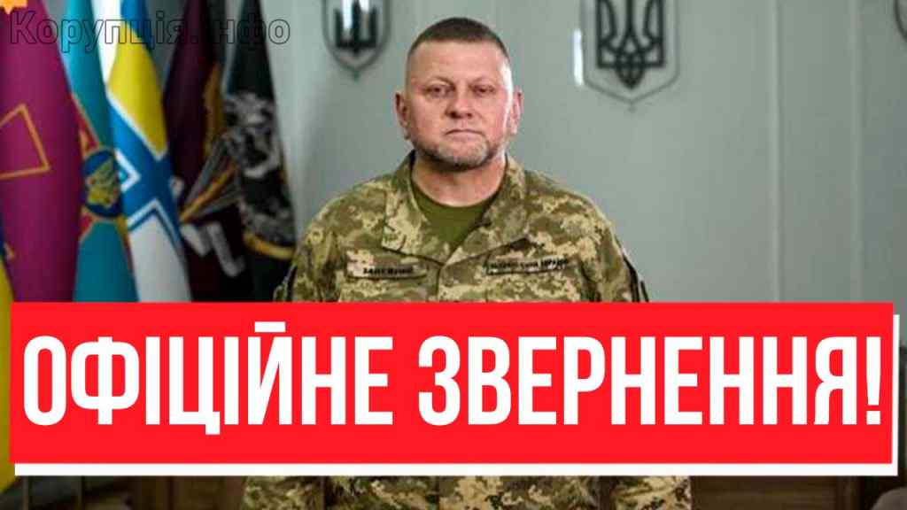 Слухайте, ЗАЛУЖНИЙ СКАЗАВ ЦЕ ЗСУ! Главком розірвав мовчання: не день, а СВЯТО – Україно, це шок!